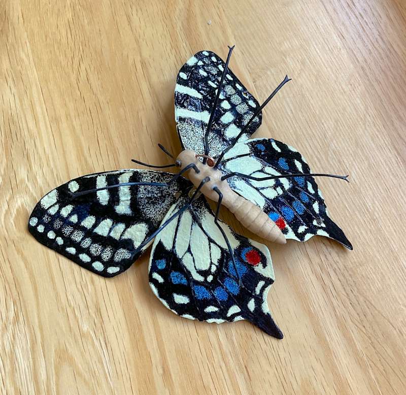 Swallow Tail II